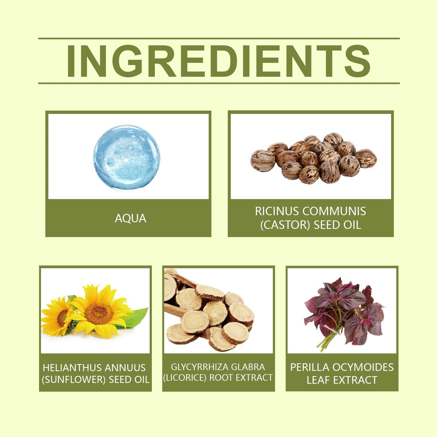 Herbal Chest Care